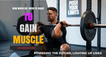 Squat for Muscle Gain: Optimal Weight and Reps Guide