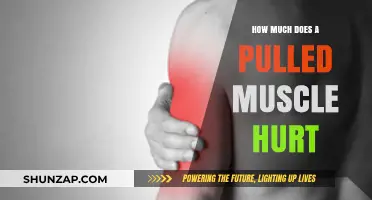 Pulled Muscle Pain: Understanding the Intensity and Recovery Process