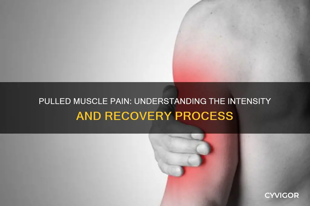 how much does a pulled muscle hurt