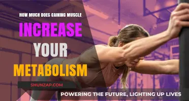 Muscle Gain and Metabolism: How Strength Training Boosts Calorie Burn