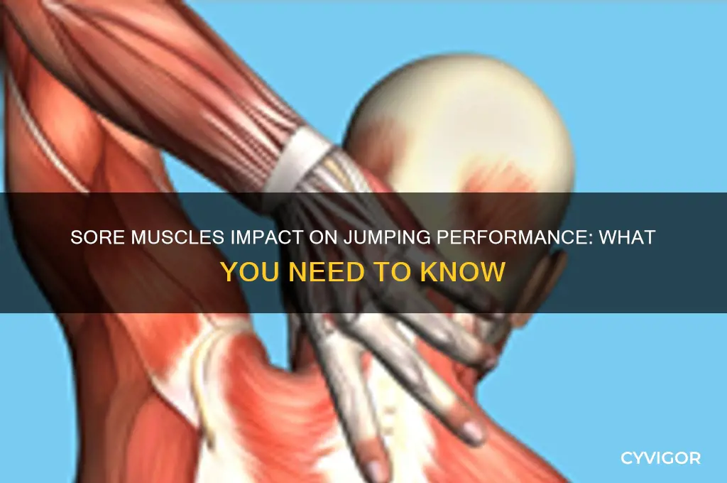 how much does sore muscles effect jumpin g