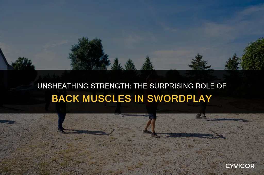 how much does swordplay involve back muscles