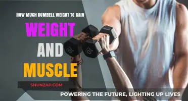 Optimal Dumbbell Weight for Muscle Gain and Weight Increase