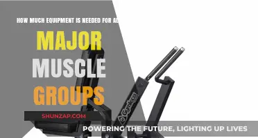 Essential Equipment Guide for Targeting All Major Muscle Groups