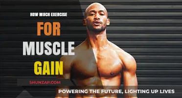 Optimal Workout Frequency for Effective Muscle Growth and Strength