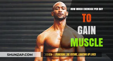 Optimal Daily Workout Routine for Effective Muscle Gain and Growth