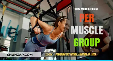 Optimal Workout Frequency: How Much Exercise Per Muscle Group?