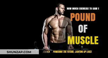 Effective Workout Strategies to Build 1 Pound of Muscle Mass