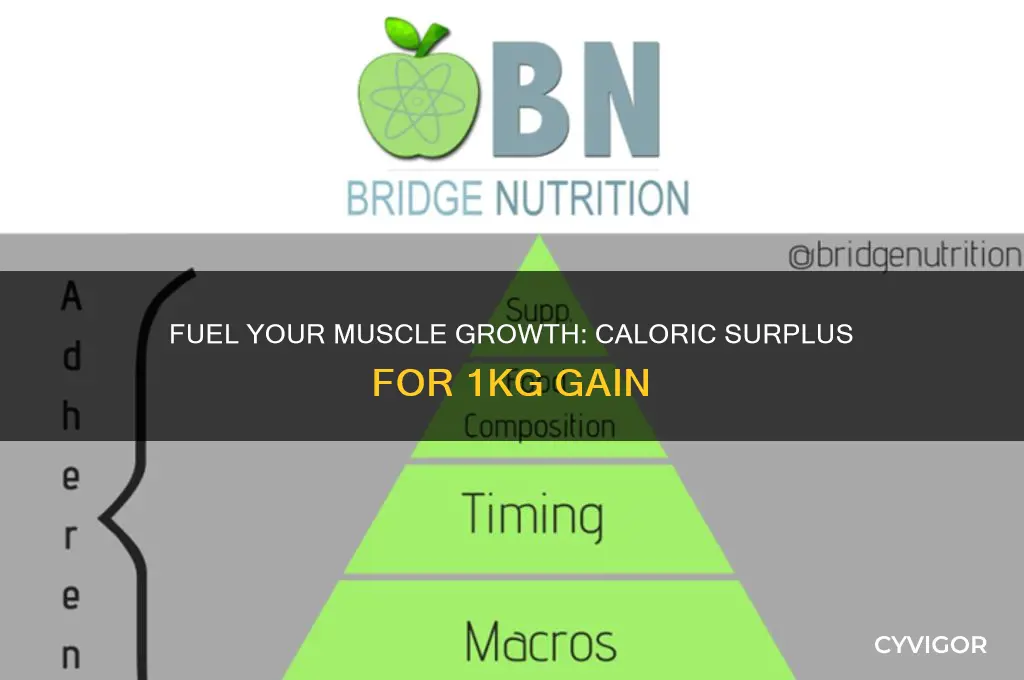 how much extra calories to gain one kg of muscle