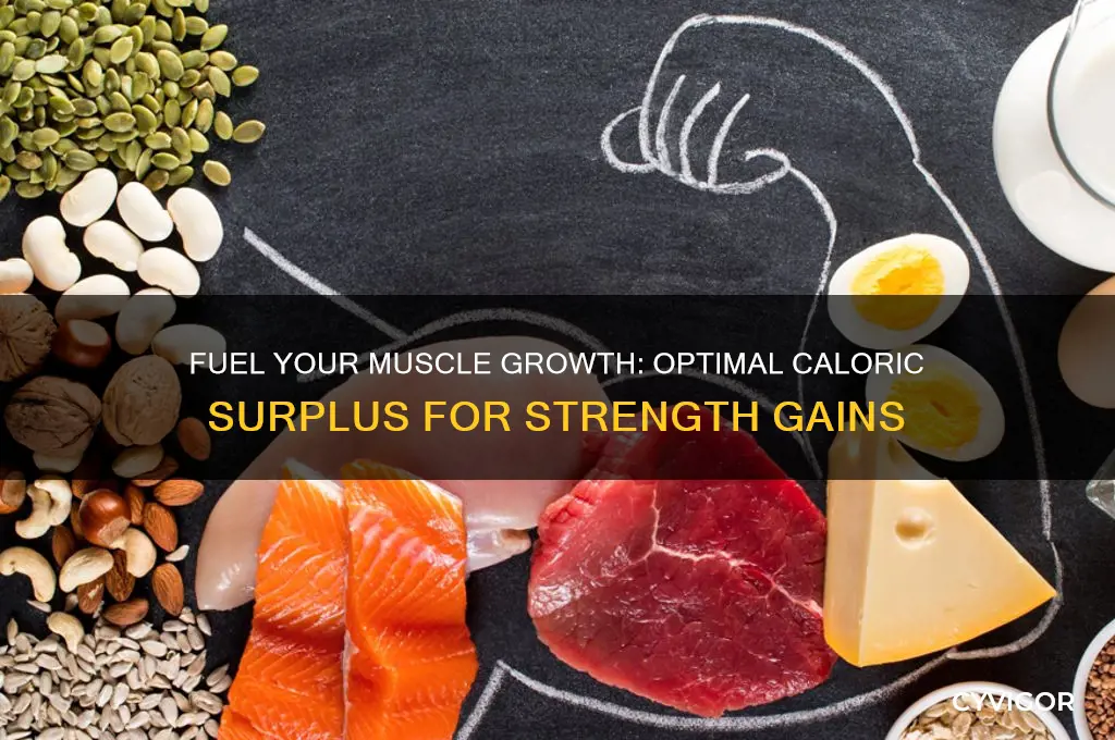 how much extra should i be eating to gain muscle