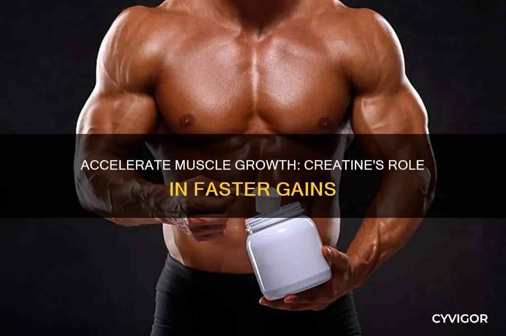 how much faster gain muscle with creatine