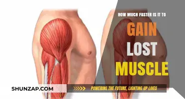 Regaining Lost Muscle: How Quickly Can You Rebuild Strength?