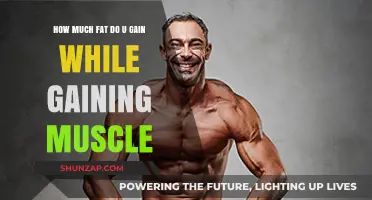 Muscle Gain and Fat Accumulation: Understanding the Balance