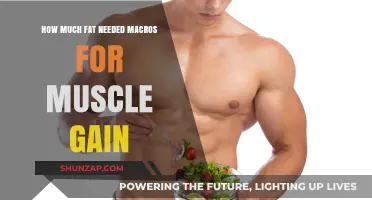 Optimal Fat Intake for Muscle Gain: Mastering Your Macros