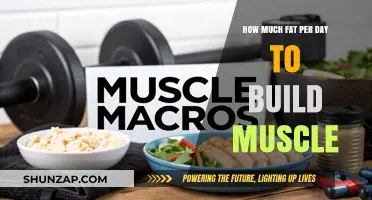 Fueling Muscle Growth: The Optimal Daily Fat Intake Guide