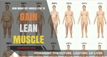 Optimal Fat Intake for Building Lean Muscle: A Comprehensive Guide