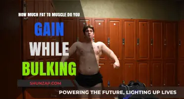 Bulking Secrets: Balancing Fat and Muscle Gain Effectively