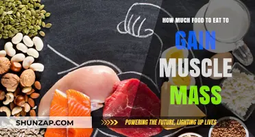 Fuel Your Muscle Growth: Optimal Food Intake for Mass Gain