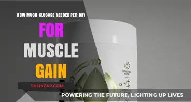 Optimal Glucose Intake for Muscle Gain: Daily Requirements Explained