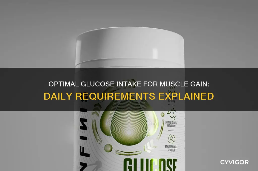 how much glucose needed per day for muscle gain