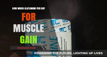 Optimal Glutamine Dosage for Muscle Growth: Daily Intake Guide