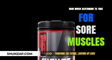 Optimal Glutamine Dosage for Muscle Recovery and Sore Muscles Relief