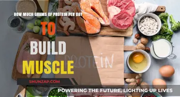 Fuel Your Gains: The Optimal Daily Protein Intake for Muscle Building