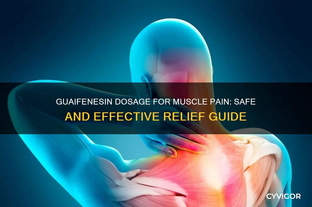 how much guaifenesin do i take for muscle pain