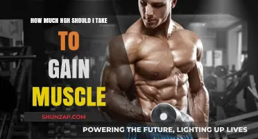 Optimal HGH Dosage for Muscle Gain: Safe and Effective Guide