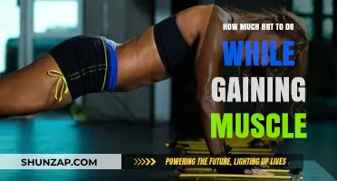 Balancing HIIT and Muscle Gain: Optimal Workout Frequency for Strength