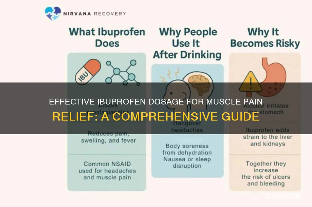 how much ibuprofen for muscle pain