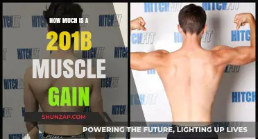 Muscle Gain Insights: Understanding the Value of 201b Growth