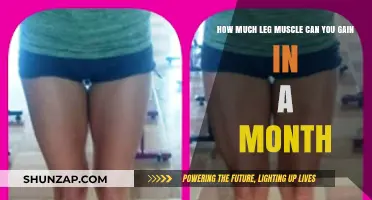 Maximizing Leg Muscle Growth: Monthly Gains and Effective Strategies