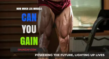 Maximize Leg Muscle Growth: Proven Strategies for Optimal Gains
