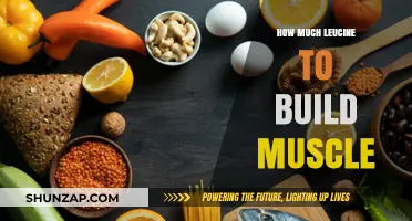 Unlocking Muscle Growth: The Optimal Leucine Intake Explained