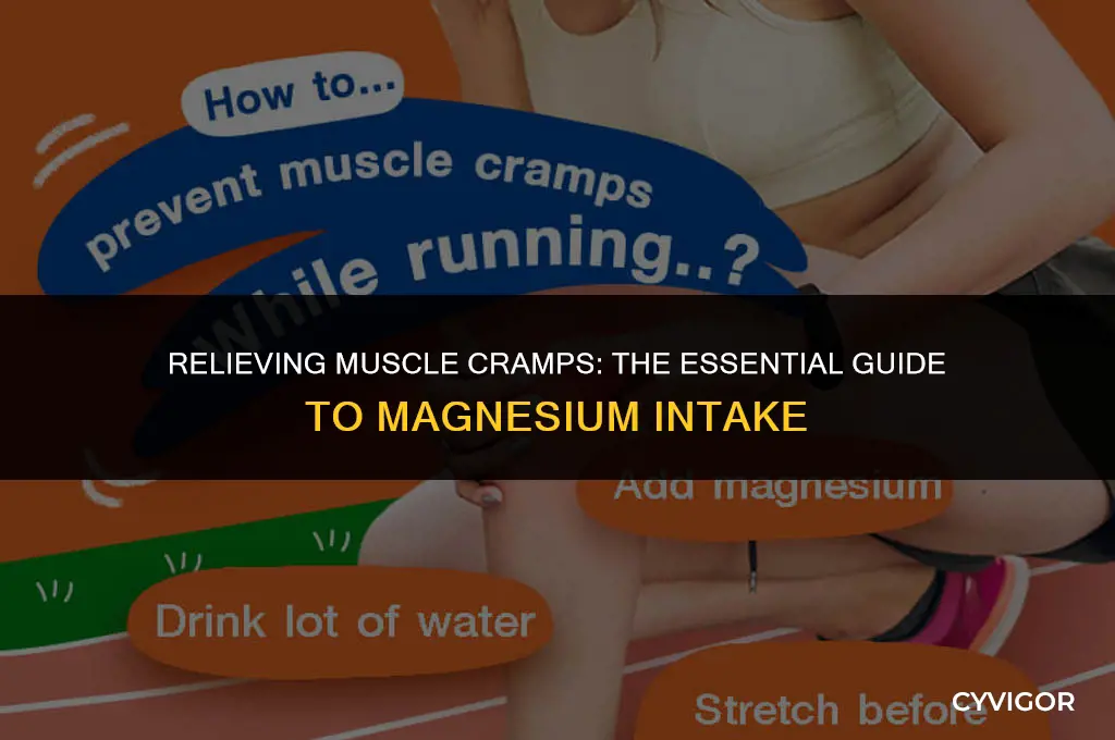how much magnesium for muscle cramps