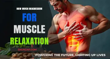 Magnesium Dosage Guide: Optimal Amounts for Effective Muscle Relaxation