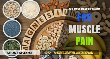 Optimal Daily Magnesium Intake for Relieving Muscle Pain and Recovery