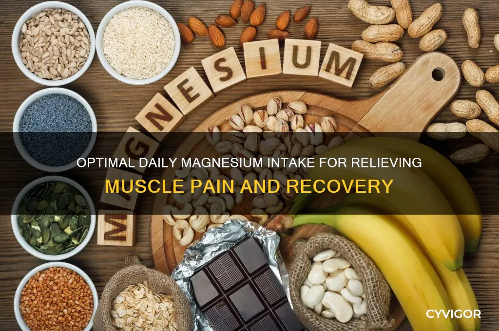 how much magnisium a day for muscle pain