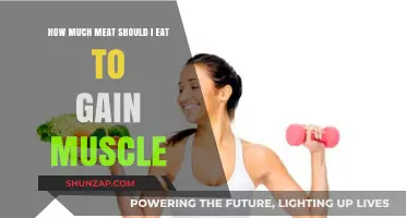 Optimal Meat Intake for Muscle Gain: A Balanced Approach