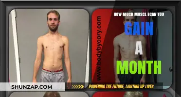 Maximizing Monthly Muscle Gains: Realistic Expectations and Strategies