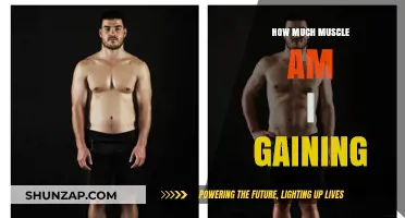 Tracking Muscle Gain: Measuring Your Strength and Progress Effectively
