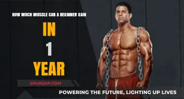 Maximize Your Gains: Beginner's Muscle Growth Potential in One Year