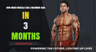 Maximizing Muscle Gains: Beginner's 3-Month Transformation Potential Revealed