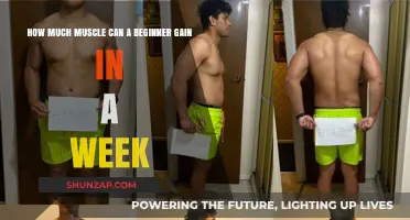 Muscle Gain for Beginners: Weekly Progress and Realistic Expectations