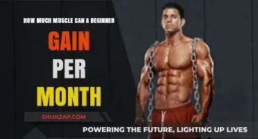 Maximizing Muscle Growth: Beginner's Monthly Gains Explained and Optimized