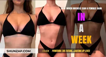 Female Muscle Gain: Weekly Potential and Realistic Expectations Explained