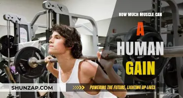 Maximizing Muscle Growth: Understanding Human Potential and Limits