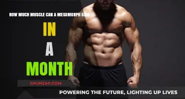 Mesomorph Muscle Gain: Monthly Potential and Maximizing Growth Strategies