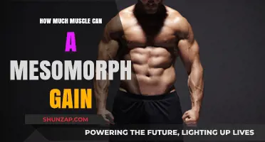 Mesomorph Muscle Gain Potential: Maximizing Growth for Your Body Type